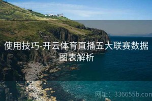 使用技巧-开云体育直播五大联赛数据图表解析