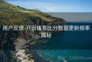 用户反馈-开云体育比分数据更新频率揭秘