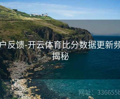 用户反馈-开云体育比分数据更新频率揭秘