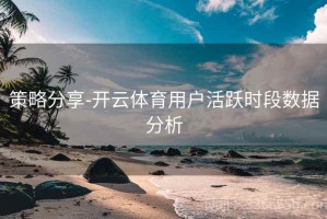 策略分享-开云体育用户活跃时段数据分析