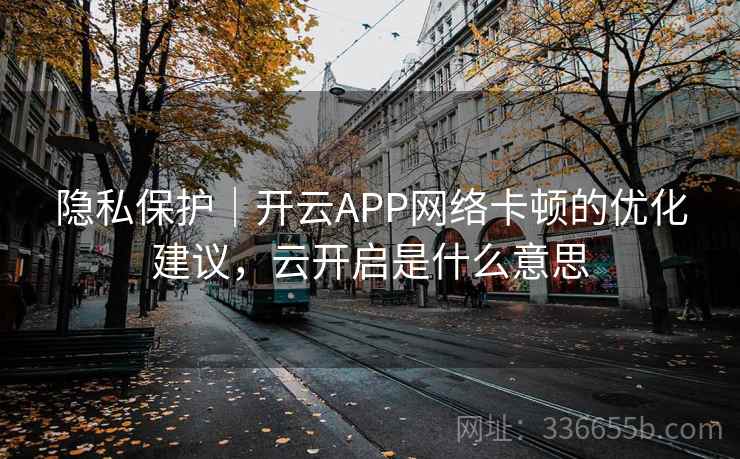 隐私保护｜开云APP网络卡顿的优化建议，云开启是什么意思