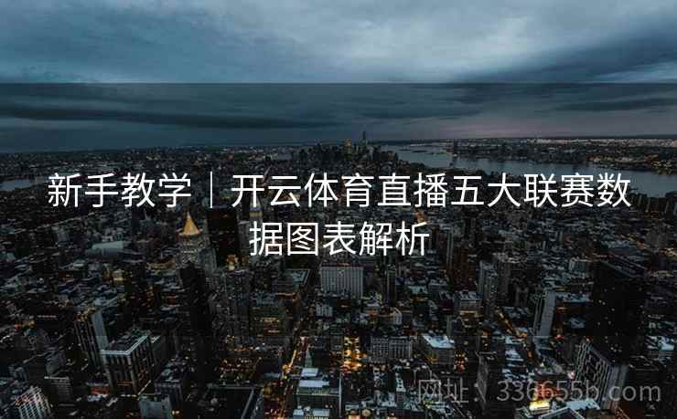 新手教学｜开云体育直播五大联赛数据图表解析