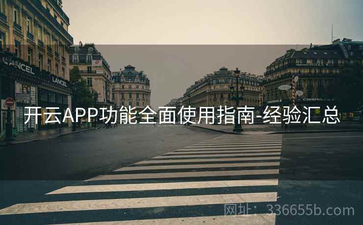 开云APP功能全面使用指南-经验汇总