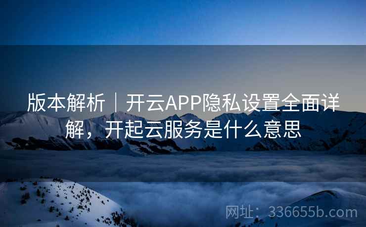 版本解析｜开云APP隐私设置全面详解，开起云服务是什么意思